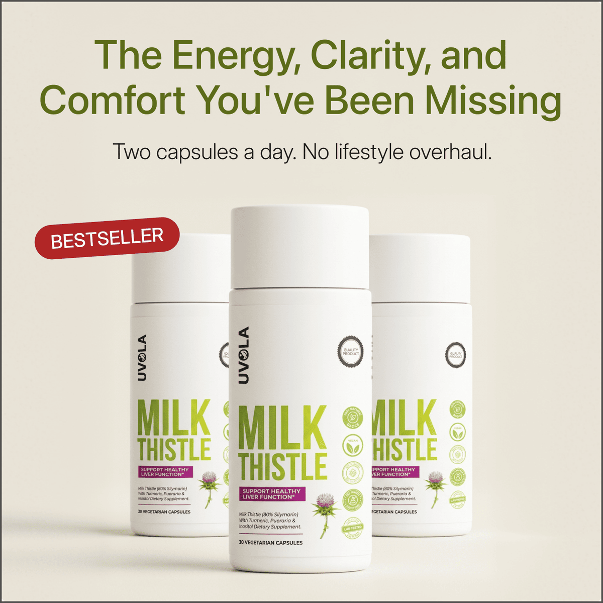 Milk Thistle Support